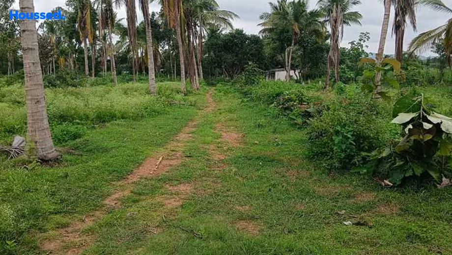 Project Image of Foundations Sri Vilasa in Varuna, Mysore - Image 426609