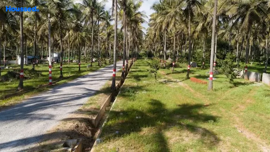 Project Image of GSS Herbal Coco Enclave in Madaragalli, Mysore - Image 427261