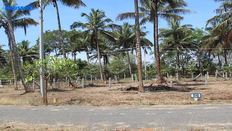 Project Image of Bhima Ashlesha in Madaragalli, Mysore - Image 428308