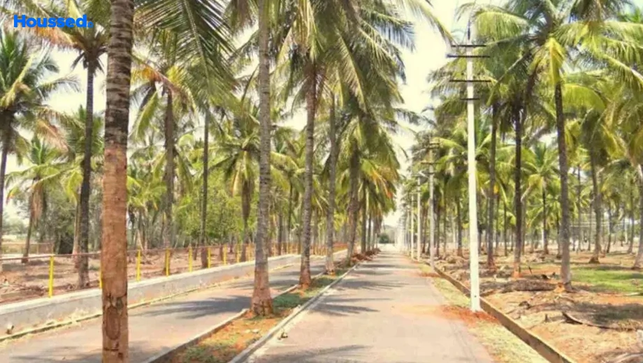 Project Image of GSS Manasa in Thaluru, Mysore - Image 428324