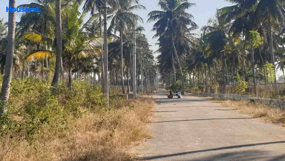 Project Image of GSS Manasa in Thaluru, Mysore - Image 428326