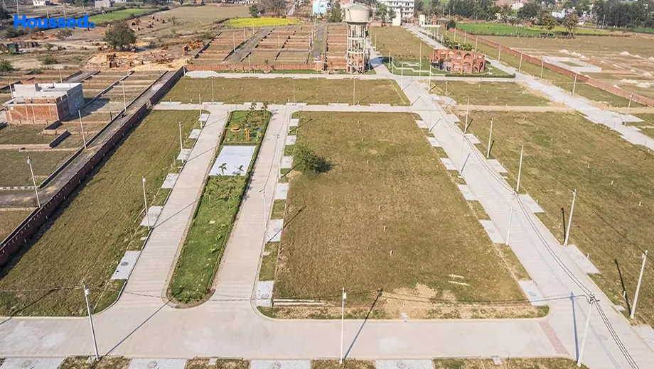 Project Image of Attalika Palm - Image 429842