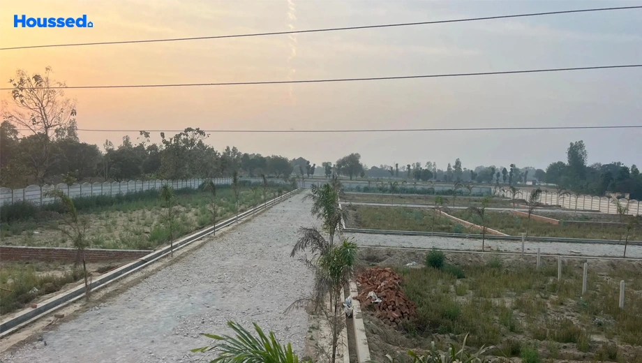Project Image of Shark Century in null, Lucknow - Image 430200