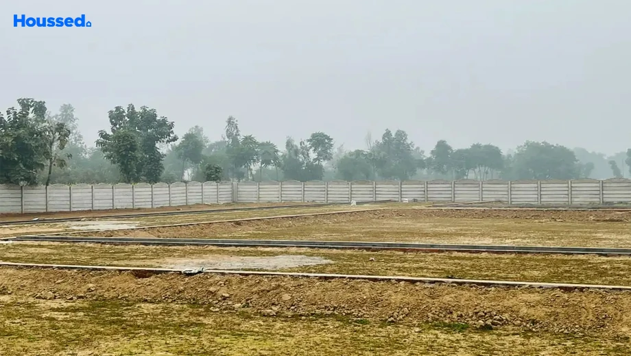 Project Image of Shark Century in null, Lucknow - Image 430196