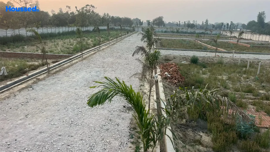 Project Image of Shark Century in null, Lucknow - Image 430201