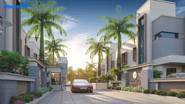 Project Image of Ratnam Palm Leaf - Image 90020