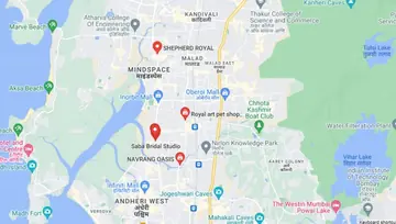 Location of Shepherd Royal - Image 45057
