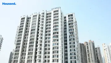 Project Image of Sikka Karnam Greens - Image 57318