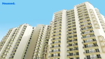 Project Image of Sikka Karnam Greens - Image 57319