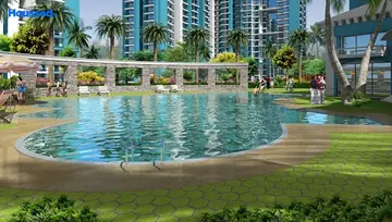 Amenities of Aims Gardenia Glory - Image 51147