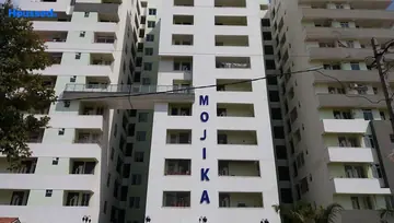 Project Image of Mojika Midas Touch - Image 54987