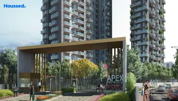 Project Image of Apex D Rio - Image 31929