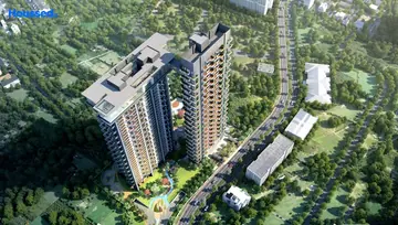 Project Image of Apex D Rio - Image 31927