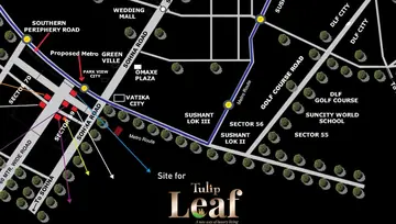 Location of Tulip Leaf - Image 48909