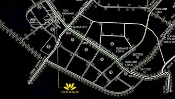 Location of Tulip Yellow - Image 48943
