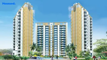 Project Image of Corona Gracieux - Image 60064