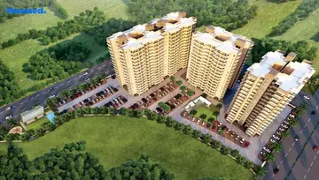 Project Image of Levana Bliss Delight - Image 3503