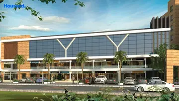 Project Image of Windsor Aralia - Image 6093
