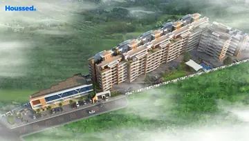Project Image of Windsor Aralia - Image 6090