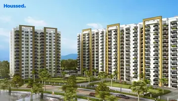 Project Image of Paarth Canary - Image 4299