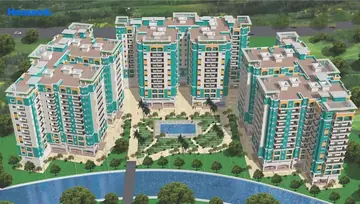 Project Image of NK Oak Forest - Image 5676