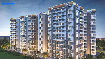 Project Image of Moti Pearl Orchid - Image 7181