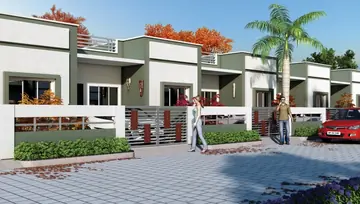 Project Image of Amaltas Oak - Image 46828