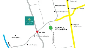 Location of Asset Insignia - Image 47143