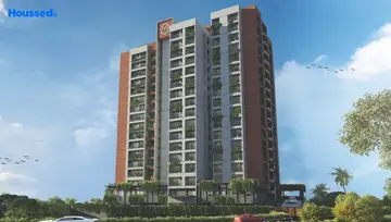 Project Image of Malabar Royal Olive - Image 8951
