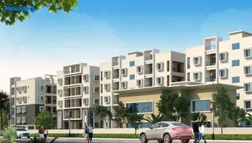 Project Image of HN Regalia - Image 7528