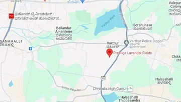 Location of Prestige Lavender Fields - Image 8785