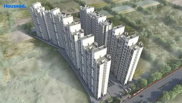 Project Image of Supercity Joy - Image 72798