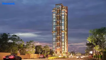 Project Image of Zade Z Luxuria - Image 43268