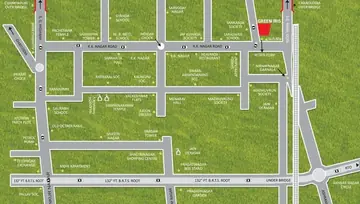 Location of Rashmi Green Iris - Image 61096