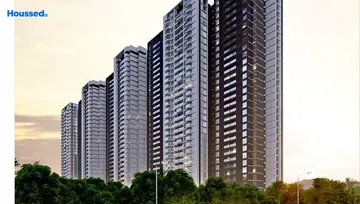 Project Image of Kunal Canary - Image 95765