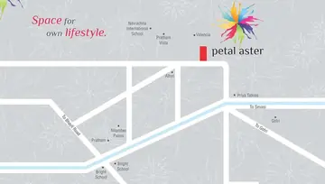 Location of Petal Aster - Image 70152