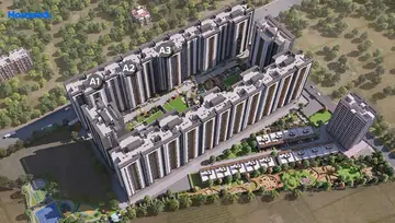 Project Image of Gini Vivante - Image 9546