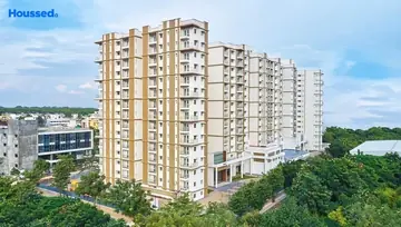 Project Image of Prestige Pine Wood - Image 75481