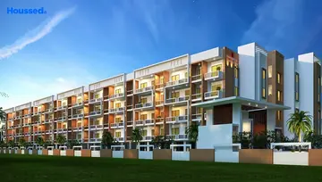 Project Image of Mahaveer Carnation - Image 77535