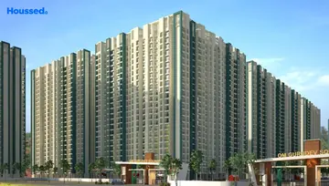 Project Image of Ranjan Level Up - Image 78004