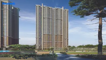 Project Image of Dosti Olive - Image 78341