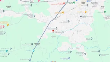 Location of FIA Daffodils - Image 79744