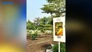 Project Image of Housing Plot/Residential Land for Resale in Shankarpally, Hyderabad - Image 55433