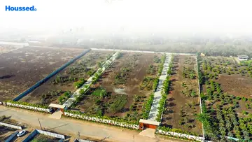 Project Image of Housing Plot/Residential Land for Resale in Shankarpally, Hyderabad - Image 57780