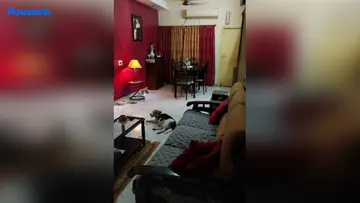 Project Image of 2 BHK Flat for Resale in Medavakkam, Chennai - Image 60040