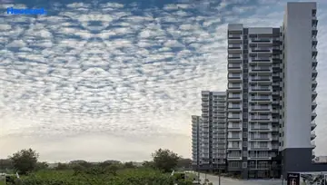 Project Image of 3 BHK Flat for Resale in Gorani D Ornate Keshar Bagh, Indore - Image 59413