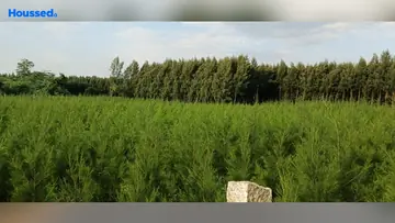 Project Image of Housing Plot/Residential Land for Resale in Tiruvallur, Chennai - Image 59860