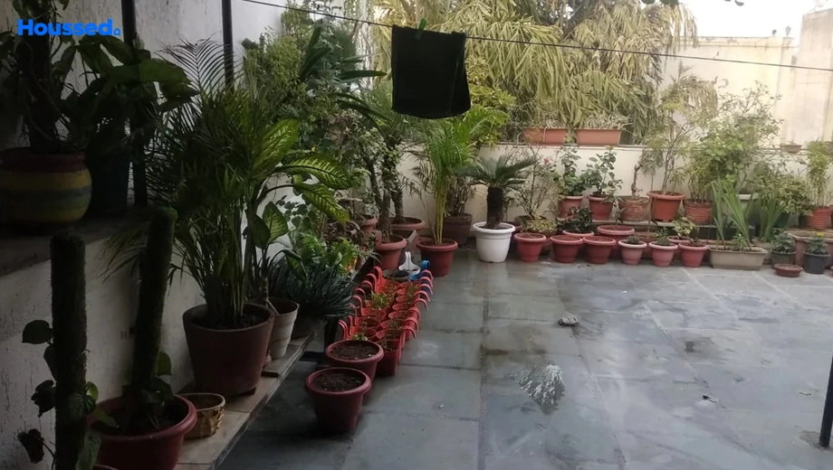 Project Image of 1 BHK Furnished Flat for Rent in Saket - Image 62237