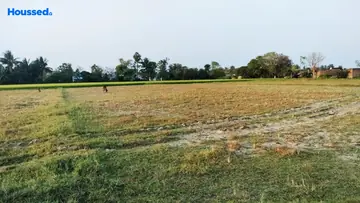 Project Image of Agriculture Land for Resale in Perambakkam, Chennai - Image 62921