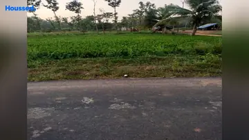 Project Image of Agriculture Land for Resale in Thiruvallur, Chennai - Image 63007